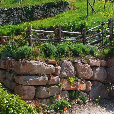 דירות סלורנו Agritur Zuveith מראה חיצוני תמונה