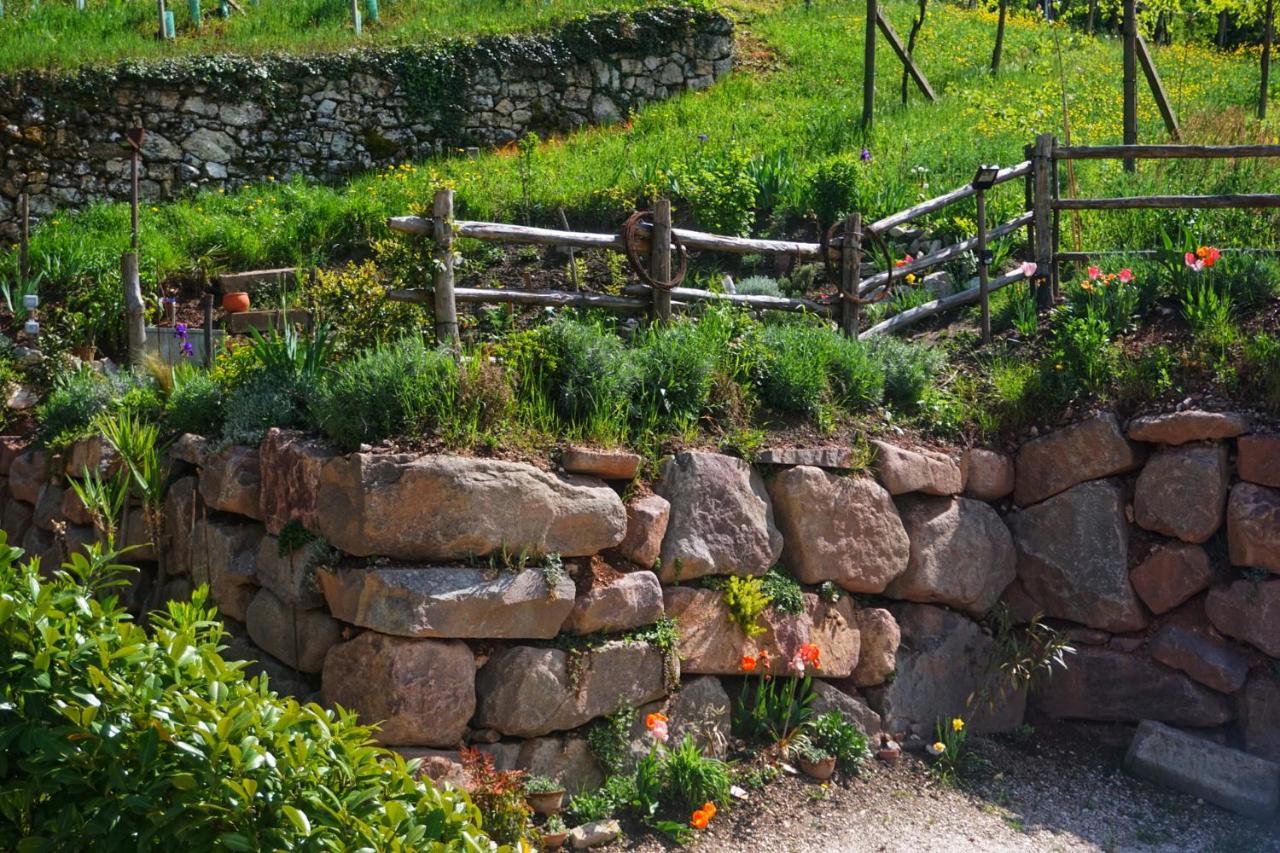 דירות סלורנו Agritur Zuveith מראה חיצוני תמונה